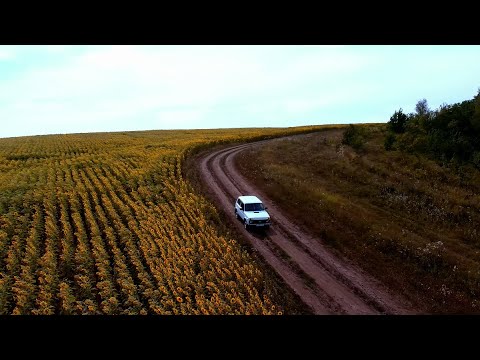 Видео: Так не бывает! Голос из ниоткуда звал папу! Тайны Анурьевского родника.