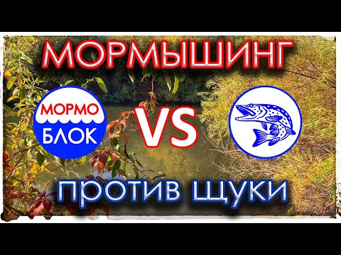 Видео: Мормышинг против щуки. Гамарус