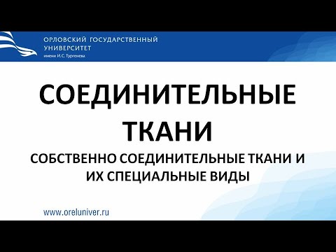 Видео: Собственно соединительные ткани. Гистологические препараты