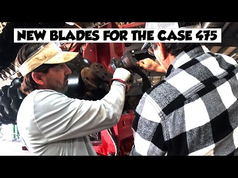 Видео: В Алабаме все еще сыро и холодно