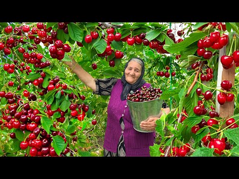 Видео: Собираем Свежую Красную Вишню и Готовим Варенье и Пирог на Зиму!