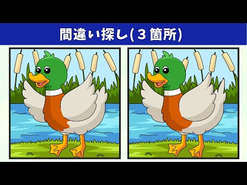 Видео: Найдите 3 отличия | Иллюстрация Версия #842