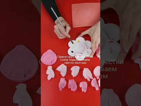 Видео: Вафельный пион от Тани Айрапетян