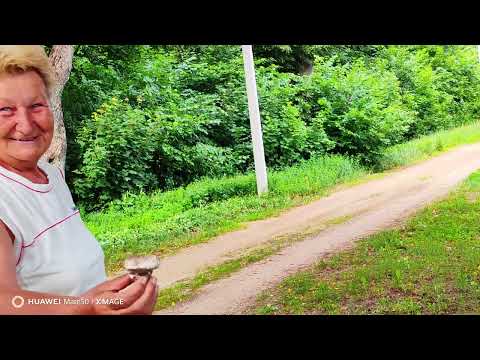 Видео: Обзор дома за 6000$,продается в деревне Сливка,Слуцкий район.