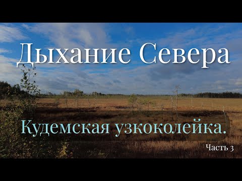 Видео: 🌲 День 3. Осенний путь по Кудемской узкоколейке на велосипеде.