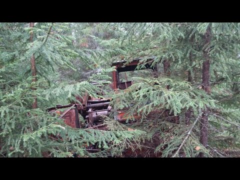 Видео: На вахте, нашли трактор тдт 55(продолжение)