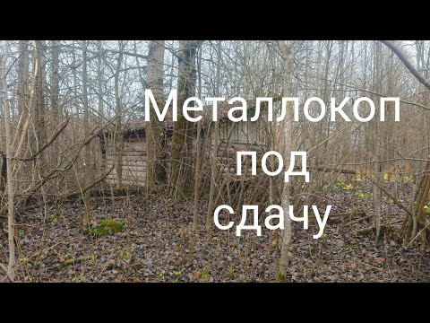 Видео: Цена растёт 😁металлокоп под сдачу! 