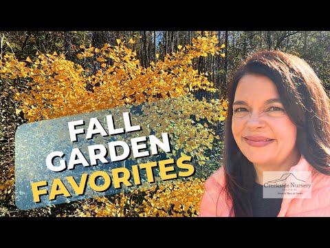 Видео: Как добавить долговечных осенних красок | Лучшие деревья и кустарники для вашего ландшафта