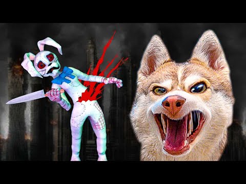 Видео: Я сожрал ВАННИ! Человечиха спасена! (Хаски Бублик) Говорящая собака