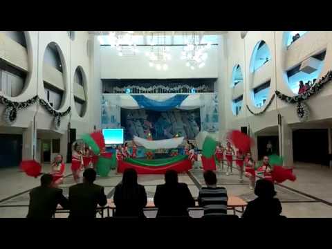 Видео: Флаг-шоу 2016