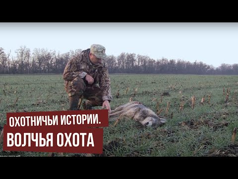 Видео: Охотничьи истории. Сезон 3. Волчья охота