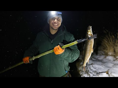 Видео: Подводная охота ранней зимой | Путешествие на внедорожнике по Аляске