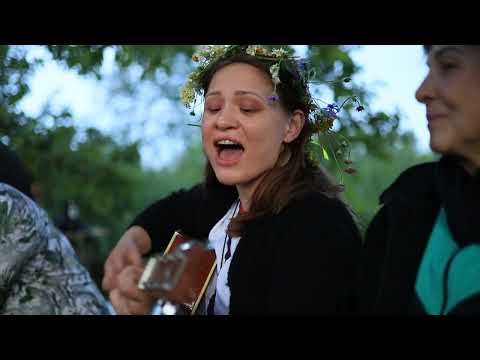 Видео: николаевское