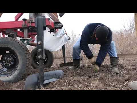 Видео: Тунелеукладчик, дугоукладчик!!!!! 89058459540 вайбер, ватцап