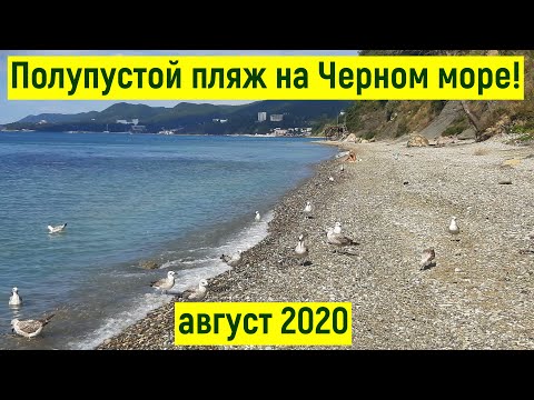 Видео: Дешевый кемпинг на Черном море рядом с п.Агой. Морской бриз. Честный обзор, цены, плюсы/минусы, пляж