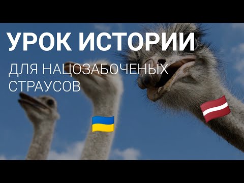 Видео: УРОКИ ИСТОРИИ ДЛЯ СТРАУСОВ