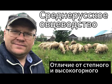 Видео: В чем отличие среднерусского овцеводства от высокогорного и степного?