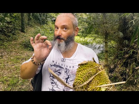 Видео: Природа Таиланда. Путевые зарисовки. Михаил Вишневский