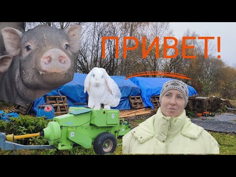 Видео: ЖИВЕМ В ДЕРЕВНЕ: краткий обзор хозяйства, последние новости