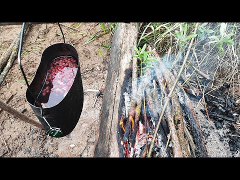 Видео: Рыбалка на Вятке. Отличная рыбалка, жареная картошка с белыми грибами на костре, чай с брусникой.