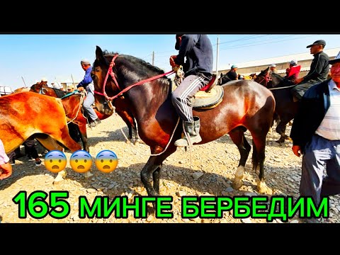 Видео: ОЗГОН АТ БАЗАР 14.09.25.#rek #памиртв #атбазар #атбазар #озгон 