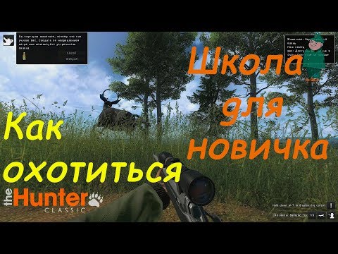 Видео: theHunter Classic. Гайд-охота для новичков.