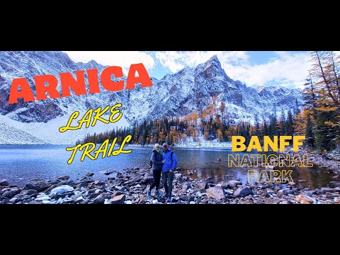 Видео: Чудовий осінній хайк Arnica Lake Trail in Banff National Park, Alberta, Canada