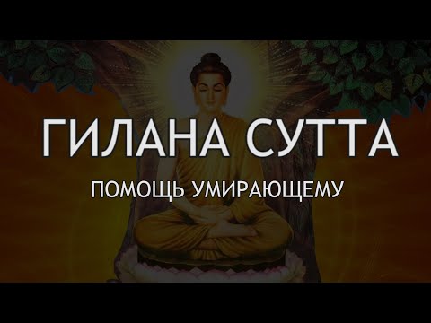 Видео: Гилана Сутта. Помощь умирающему. С пояснением Алексея Тэль / Студия Бодхи