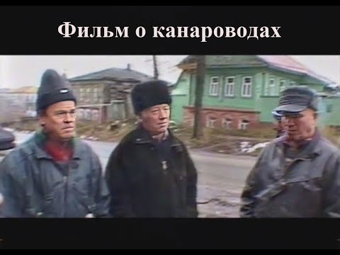 Видео: Канароводы
