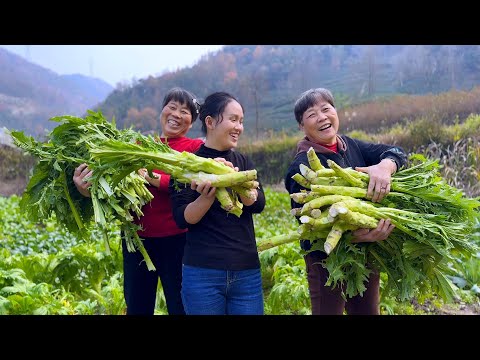 Видео: Стебли большие и толстые, и тетя Сан постоянно хвалит их за то, что они хорошо посажены.
