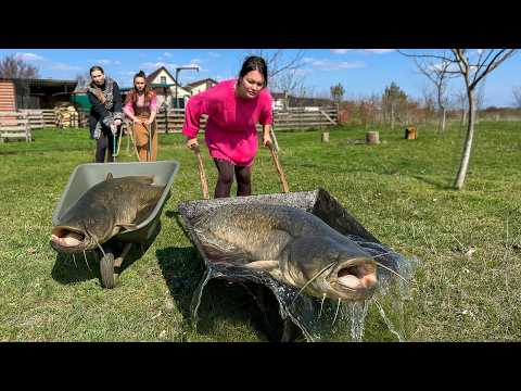 Видео: Что приготовить из Речного Сома? Простой и Вкусный рецепт для всей Семьи