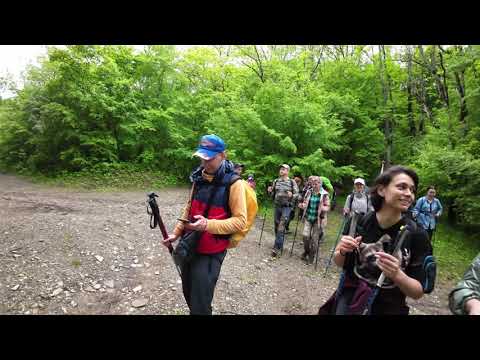 Видео: Через горы к морю за один день  Шапсугская Кабардинка 07 05 2023
