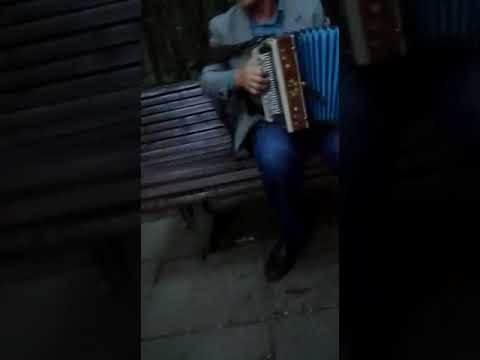 Видео: 06.07.2019.Москва.Измайловский пятачок.Веселая пляска под гармонь.