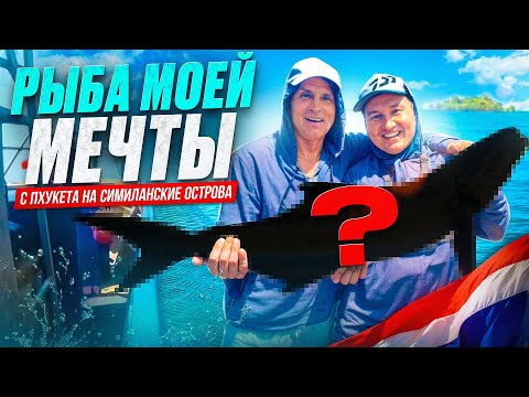 Видео: Шок!!! Кобия 20 кг! Рыбалка на Симиланских островах | Рыбалка на Пхукете | Морской джиггинг в Тае
