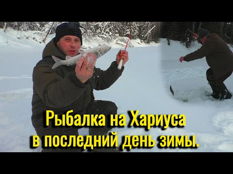Видео: Рыбалка на Хариуса в последний день зимы. Кто ищет, тот найдёт.
