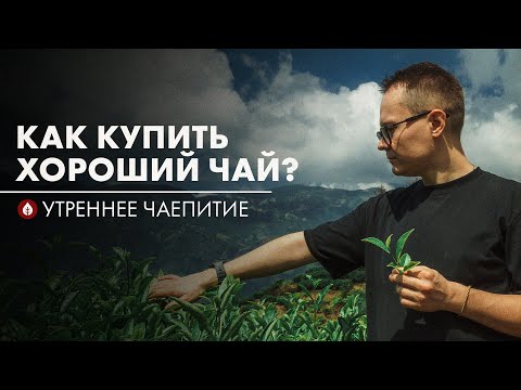 Видео: Прямиком из Китая. Андрей о чае, Китае и вообще | Стрим Art of Tea