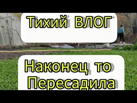 Видео: Тихий ВЛОГ, садовые работы 🌲🌲🌲🌲🌲🌲