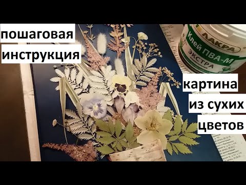 Видео: Картина из сухих цветов - пошаговая инструкция.