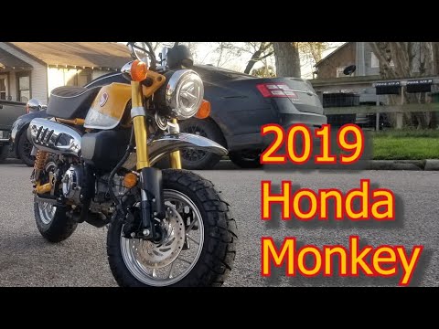 Видео: Хонда обезьяна 2019 ( Honda Monkey ) первые впечатления / обзор / test drive.