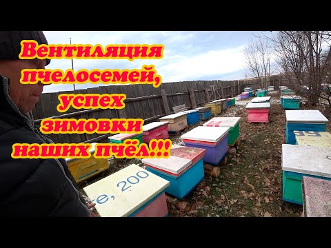 Видео: ХОРОШАЯ ВЕНТИЛЯЦИЯ, ЗАЛОГ УСПЕШНОЙ ЗИМОВКИ ПЧЁЛ, ПЧЕЛОВОД СДЕЛАЙ ЭТО.
