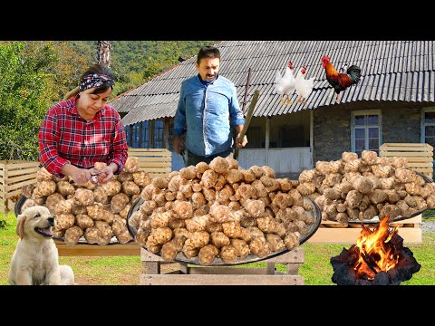 Видео: Необычный овощ под землей - топинамбур | Самый недооцененный овощ!