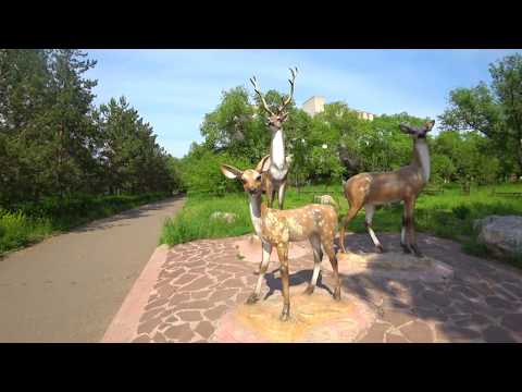 Видео: Сосновоборск. Лето 2018. Часть 1. Центр города