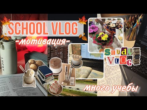 Видео: SCHOOL VLOG 🍂 ШКОЛЬНЫЙ ВЛОГ // учёба, школьные будни, рутина, мотивация, осень