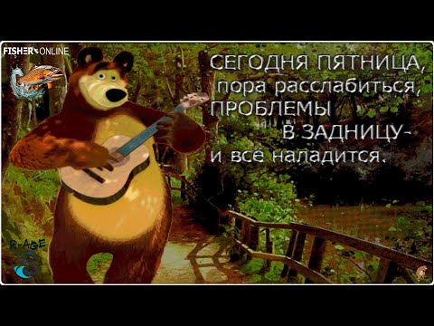 Видео: Fisher Online  /  ТЯПница  /  Общение