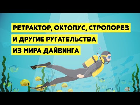 Видео: Ретрактор, октопус, стропорез и другие ругательства из мира дайвинга