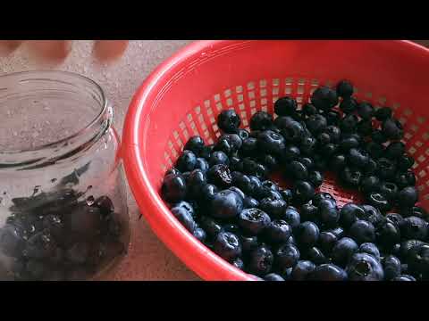 Видео: Огород в начале осени | Самое быстрое варенье из голубики | Уютное видео