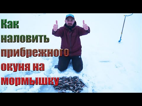 Видео: Как наловить прибрежного окуня на мормышку. Топ советов, которые помогут вам остаться с уловом!!!