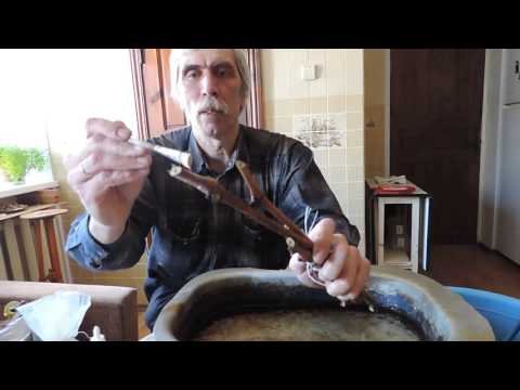 Видео: Домашнее укоренение черенков. Часть 2