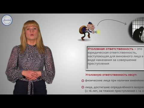 Видео: Обществознание 9 класс. Уголовно правовые отношения