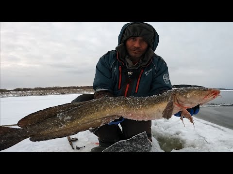 Видео: ОПАСНЫЙ ЛЁД 2025 | РЫБАЛКА  НАЛИМА НА ТРЕЩИНАХ